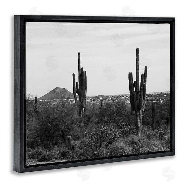 Stupell Industries Graffi*tee Studios | Desert Cactus Arid Vegetation Monochrome Nature Photography Wall Art