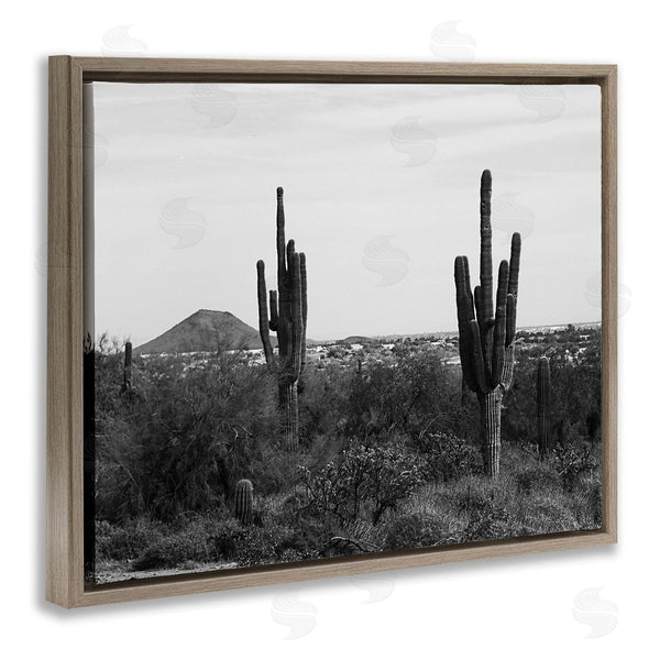Stupell Industries Graffi*tee Studios | Desert Cactus Arid Vegetation Monochrome Nature Photography Wall Art