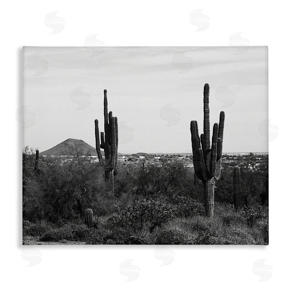 stupell industries Graffi*tee Studios | Desert Cactus Arid Vegetation Monochrome Nature Photography Wall Art