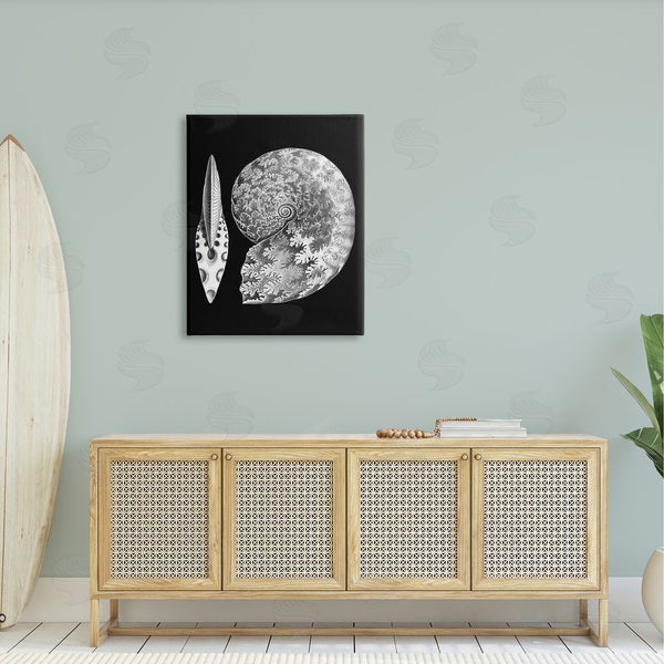 Stupell Industries Graffi*tee Studios | Detailed Patterned Nautilus Spiral Seashell Modern Design Wall Art
