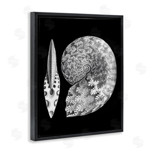 Stupell Industries Graffi*tee Studios | Detailed Patterned Nautilus Spiral Seashell Modern Design Wall Art