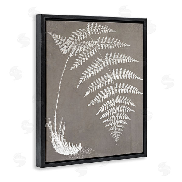 Stupell Industries Graffi*tee Studios | Fern Leaves Roots Growing Botanicals Neutral Tones Wall Art