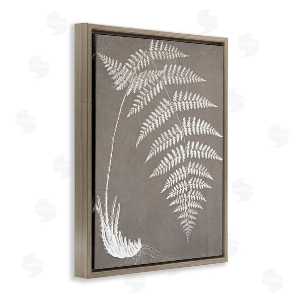 Stupell Industries Graffi*tee Studios | Fern Leaves Roots Growing Botanicals Neutral Tones Wall Art