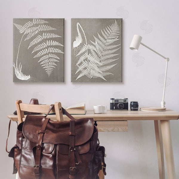 Stupell Industries Graffi*tee Studios | Fern Plant White Botanical Herb Roots Wall Art