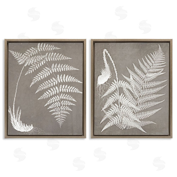 Stupell Industries Graffi*tee Studios | Fern Plant White Botanical Herb Roots Wall Art