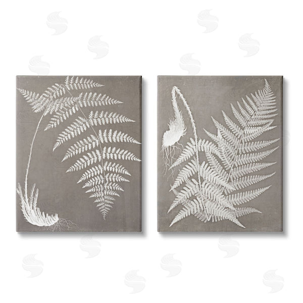 stupell industries Graffi*tee Studios | Fern Plant White Botanical Herb Roots Wall Art
