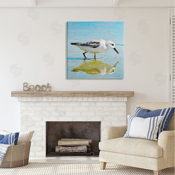 Stupell Industries Graffi*tee Studios | Grazing Sandpiper In Water Wall Art