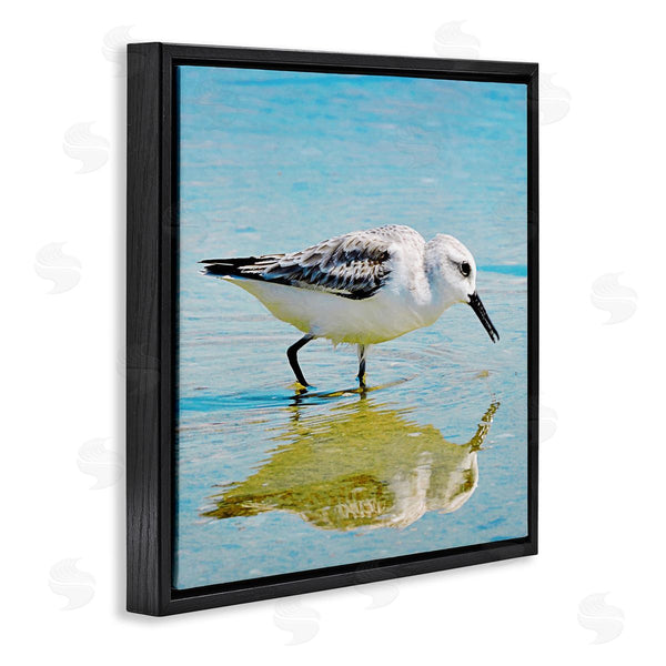 Stupell Industries Graffi*tee Studios | Grazing Sandpiper In Water Wall Art