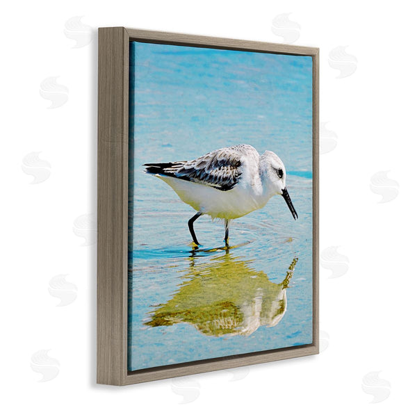 Stupell Industries Graffi*tee Studios | Grazing Sandpiper In Water Wall Art