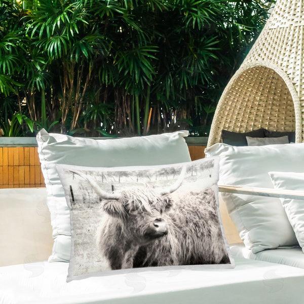 Stupell Industries Graffi*tee Studios | Highland Cow Gazing Portrait