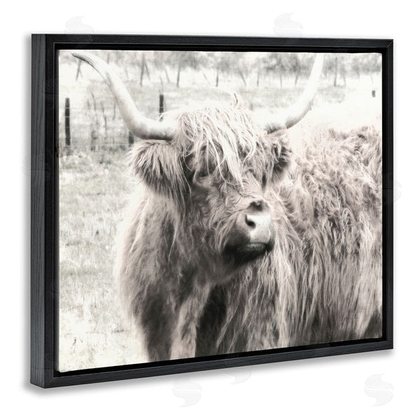 Stupell Industries Graffi*tee Studios | Highland Cow Gazing Portrait Wall Art