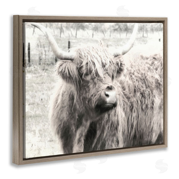 Stupell Industries Graffi*tee Studios | Highland Cow Gazing Portrait Wall Art