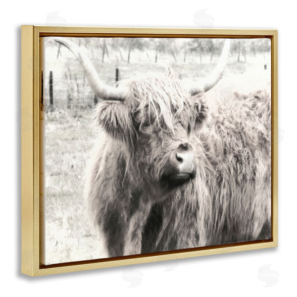Stupell Industries Graffi*tee Studios | Highland Cow Gazing Portrait Wall Art