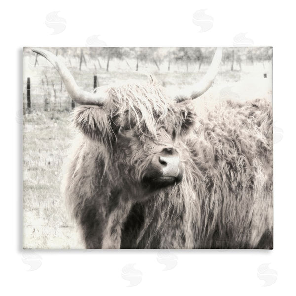 stupell industries Graffi*tee Studios | Highland Cow Gazing Portrait Wall Art