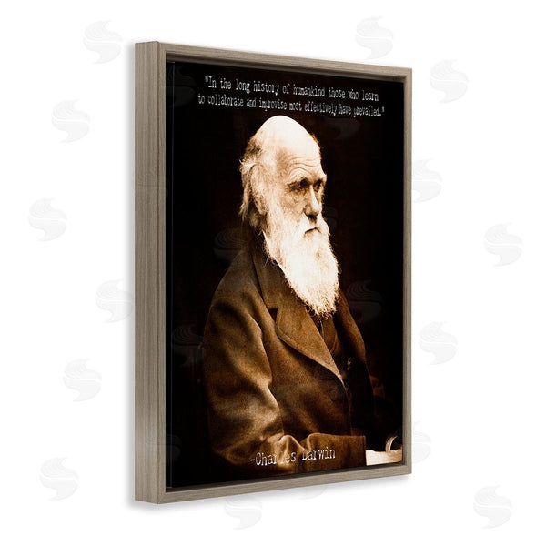 Stupell Industries Graffi*tee Studios | Inspiring Darwin Quote Wall Art