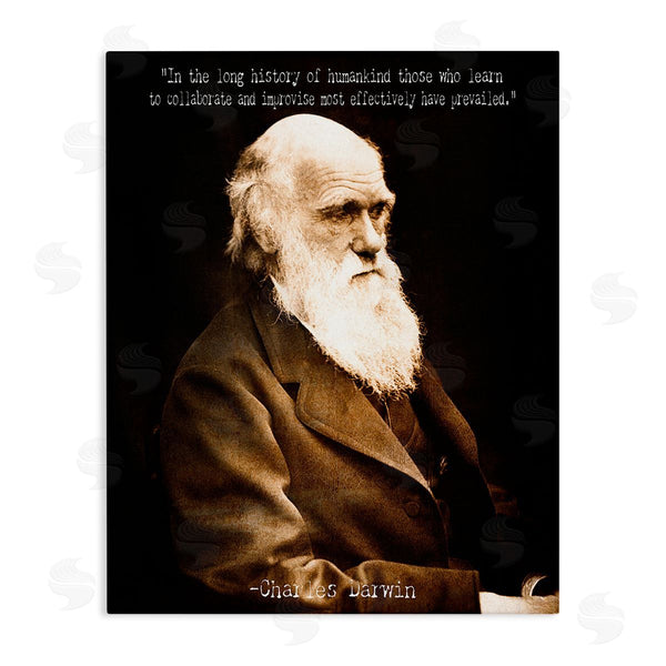 stupell industries Graffi*tee Studios | Inspiring Darwin Quote Wall Art