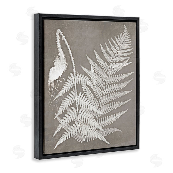 Stupell Industries Graffi*tee Studios | Layered Botanicals Fern Leaves Nature Vegetation Wall Art