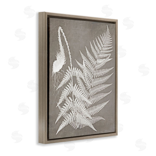 Stupell Industries Graffi*tee Studios | Layered Botanicals Fern Leaves Nature Vegetation Wall Art