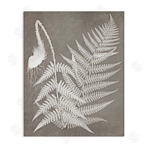 stupell industries Graffi*tee Studios | Layered Botanicals Fern Leaves Nature Vegetation Wall Art