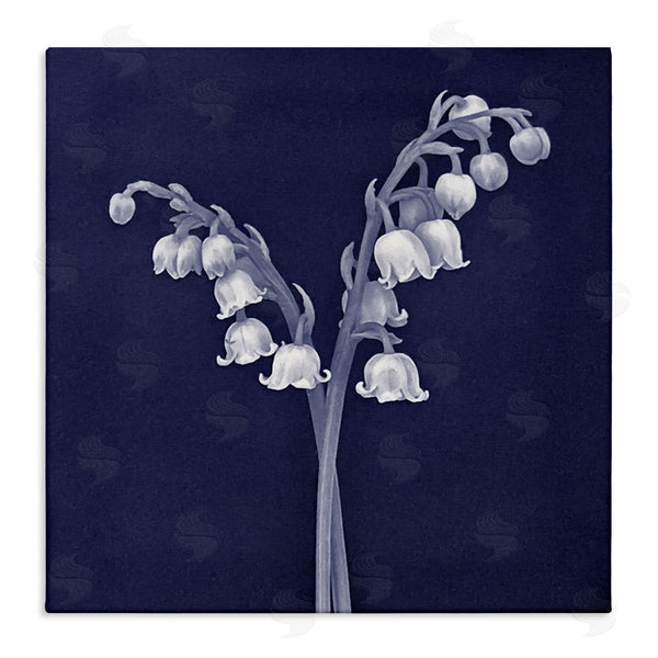 stupell industries Graffi*tee Studios | Lily of Valley White Drooping Blooms Illustration Wall Art