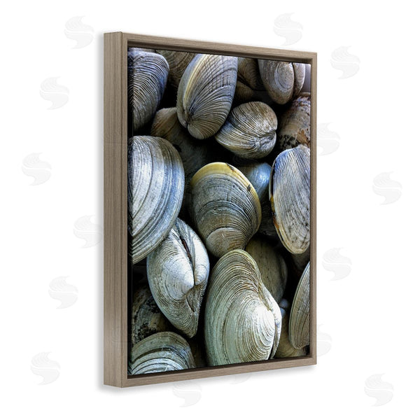 Stupell Industries Graffi*tee Studios | Maritime Clams Pile