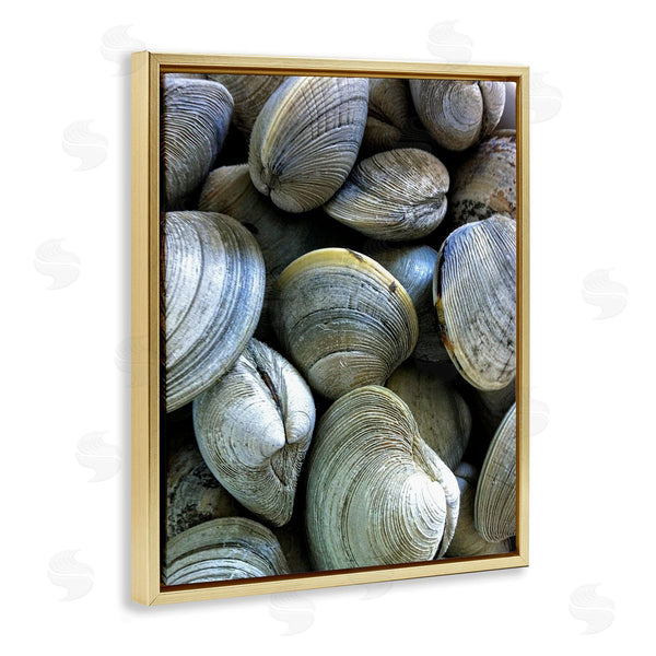 Stupell Industries Graffi*tee Studios | Maritime Clams Pile