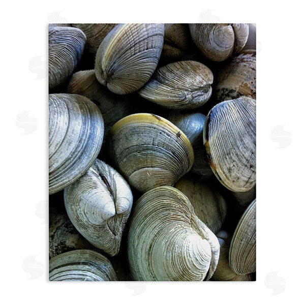 stupell industries Graffi*tee Studios | Maritime Clams Pile