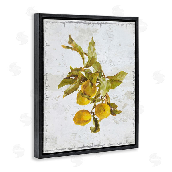 Stupell Industries Graffi*tee Studios | Natural Lemon Branch Wall Art