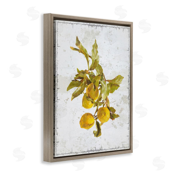 Stupell Industries Graffi*tee Studios | Natural Lemon Branch Wall Art