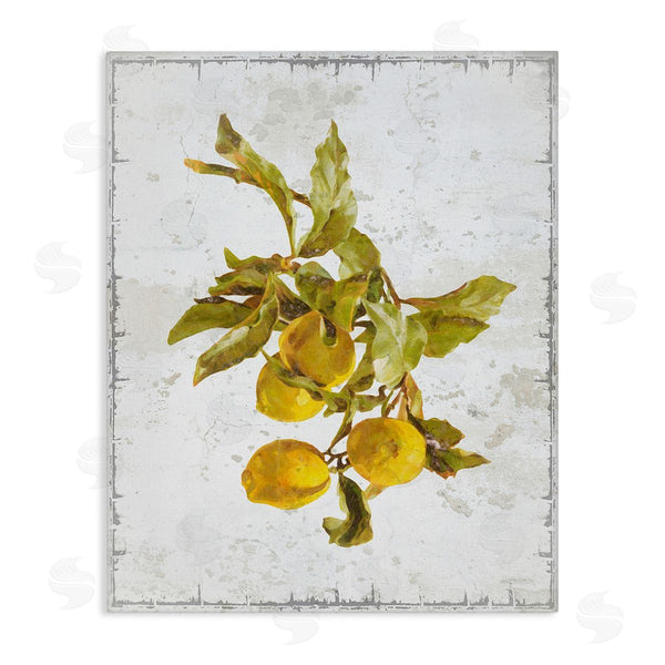 stupell industries Graffi*tee Studios | Natural Lemon Branch Wall Art