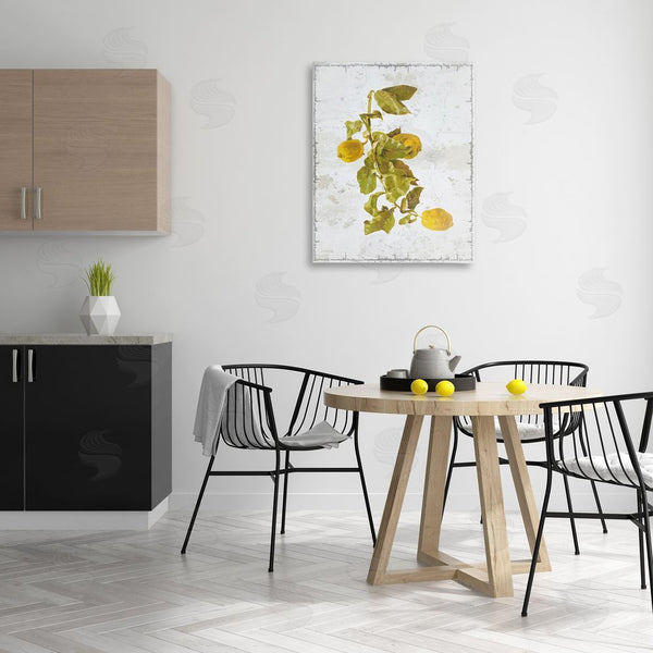 Stupell Industries Graffi*tee Studios | Natural Lemon Fruits Wall Art