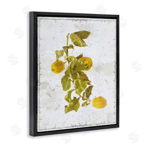 Stupell Industries Graffi*tee Studios | Natural Lemon Fruits Wall Art