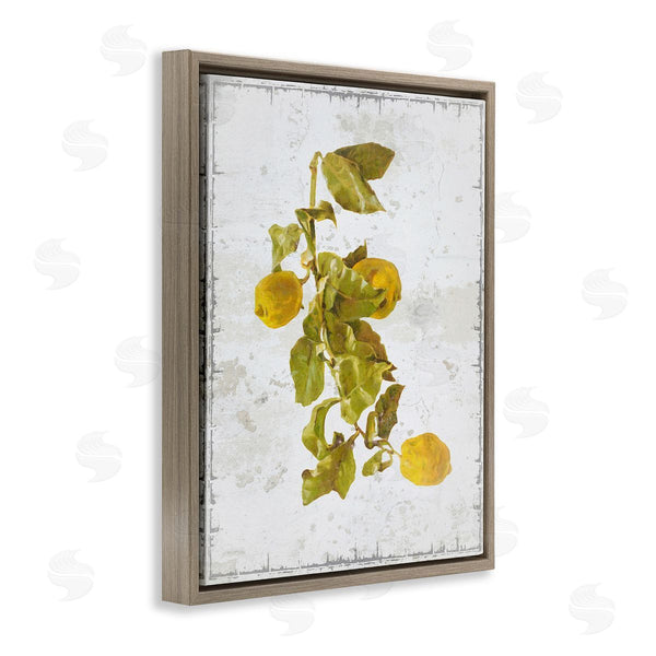 Stupell Industries Graffi*tee Studios | Natural Lemon Fruits Wall Art