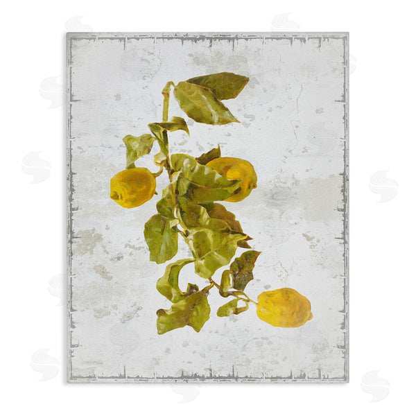 stupell industries Graffi*tee Studios | Natural Lemon Fruits Wall Art