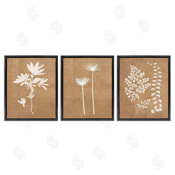 Stupell Industries Graffi*tee Studios | Nature Botanical Silhouettes Wall Art