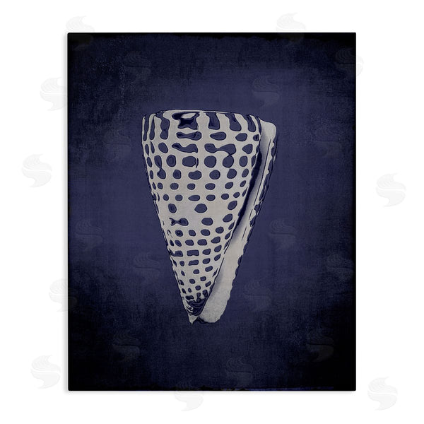 stupell industries Graffi*tee Studios | Nautical Cone Shell