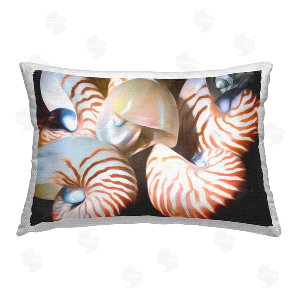 Stupell Industries Graffi*tee Studios | Nautilus Shells Cluster