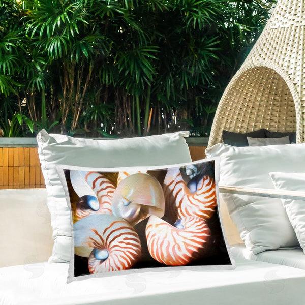 Stupell Industries Graffi*tee Studios | Nautilus Shells Cluster