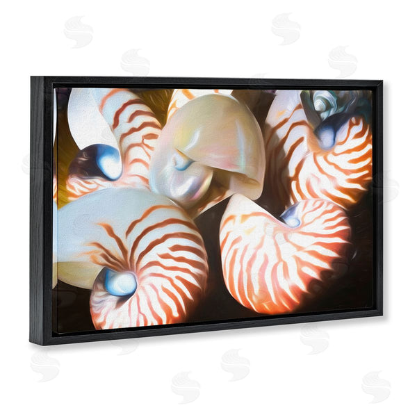 Stupell Industries Graffi*tee Studios | Nautilus Shells Cluster
