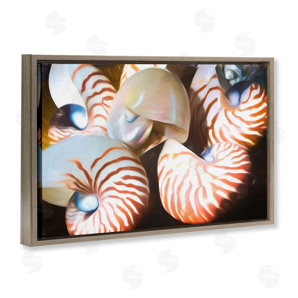 Stupell Industries Graffi*tee Studios | Nautilus Shells Cluster