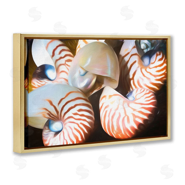 Stupell Industries Graffi*tee Studios | Nautilus Shells Cluster