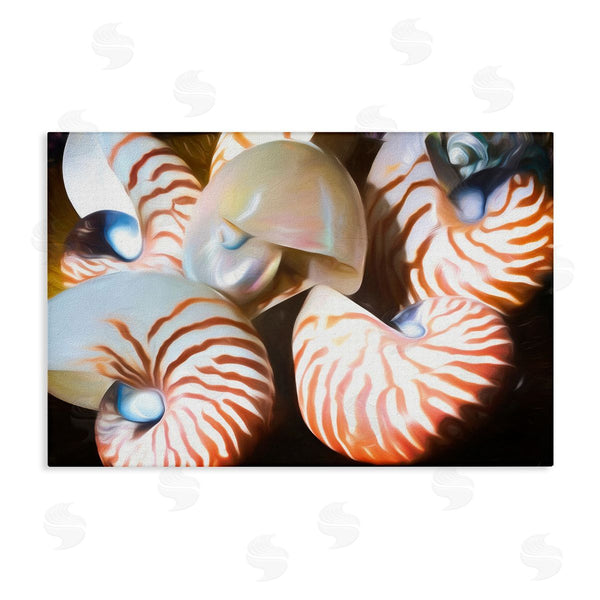 stupell industries Graffi*tee Studios | Nautilus Shells Cluster