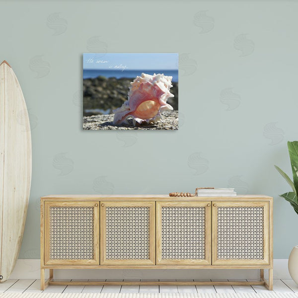 Stupell Industries Graffi*tee Studios | Ocean Is Calling Conch Wall Art