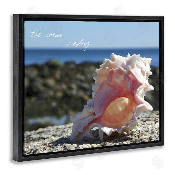 Stupell Industries Graffi*tee Studios | Ocean Is Calling Conch Wall Art