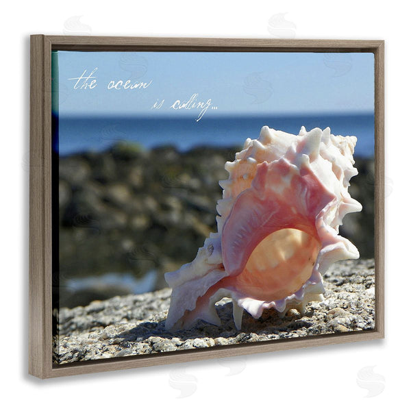 Stupell Industries Graffi*tee Studios | Ocean Is Calling Conch Wall Art