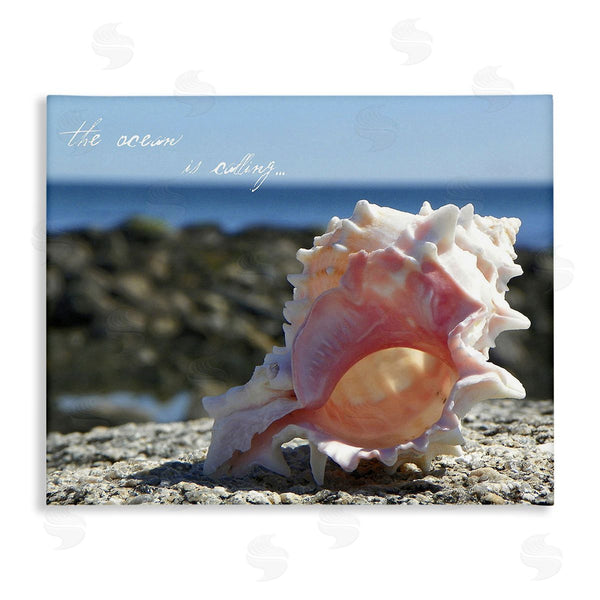 stupell industries Graffi*tee Studios | Ocean Is Calling Conch Wall Art