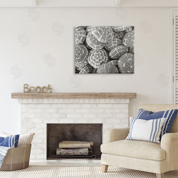 Stupell Industries Graffi*tee Studios | Pewter Sea Urchins Photography Wall Art
