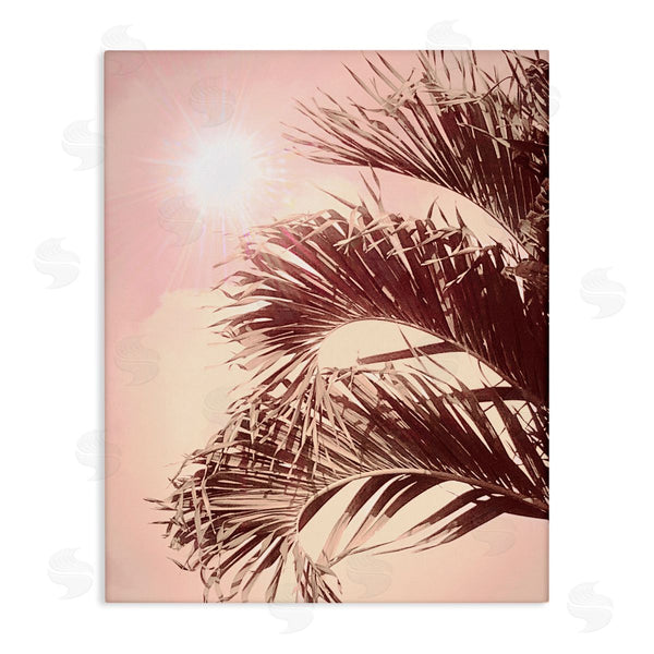 stupell industries Graffi*tee Studios | Pink Sunlit Palm Fronds Wall Art