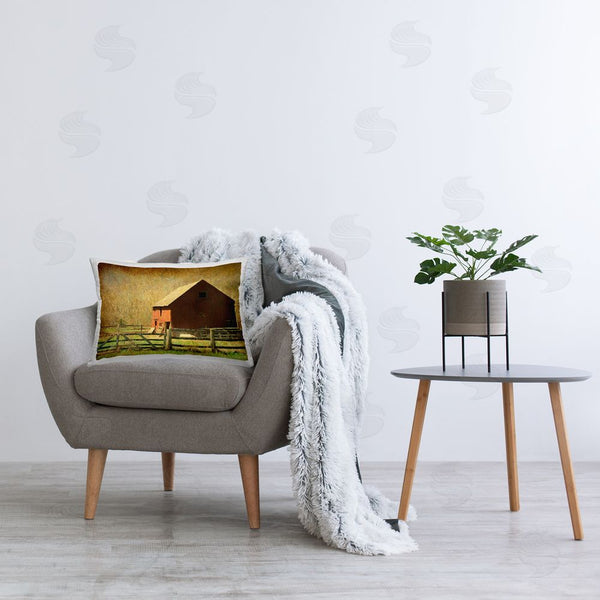 Stupell Industries Graffi*tee Studios | Red Barn Distressed Pattern