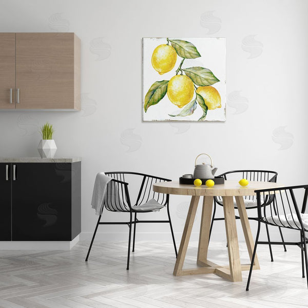 Stupell Industries Graffi*tee Studios | Rustic Citrus Fruits Wall Art